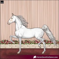 Horse Color:Silver Amber Champagne Roan Dun Splash Tobiano Frame Near Leopard Rabicano 