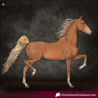 Horse Color:Chestnut  and Chestnut 