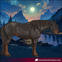 Horse Color:White Spotted Liver Chestnut 
