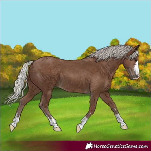 Horse Color:Silver Black 