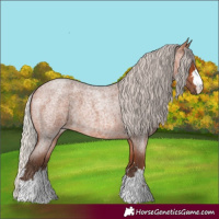 Horse Color:Silver Bay Roan 