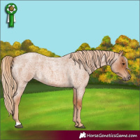 Horse Color:Red Roan 