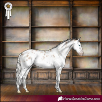 Horse Color:Gray White Spotted Silver Amber Champagne Dun Splash Frame Near Leopard Rabicano 