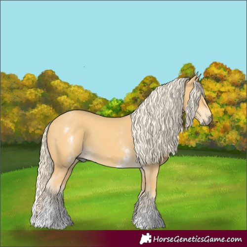 Horse Color:White Spotted Palomino