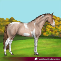 Horse Color:Liver Red Roan Pearl Tobiano Frame 