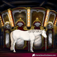 Horse Color:Perlino Dun 