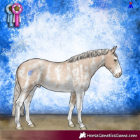 Horse Color:Chocolate Palomino Pearl Sabino Varnish Rabicano  and Chocolate Palomino Pearl Sabino Varnish Rabicano 