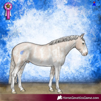 Horse Color:Chocolate Palomino Pearl Sabino Appaloosa Rabicano  and Chocolate Palomino Pearl Sabino Appaloosa Rabicano 