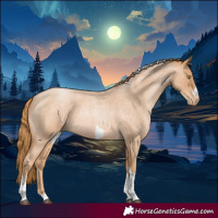 Horse Color:Red Roan Pearl Tobiano Frame