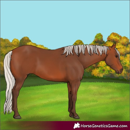 Horse Color:Silver Brown 