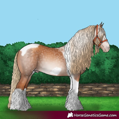 Horse Color:Gray Gold Champagne Tobiano Frame 