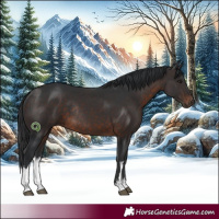 Horse Color:White Spotted Brown Rabicano