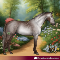 Horse Color:Gray Chestnut 