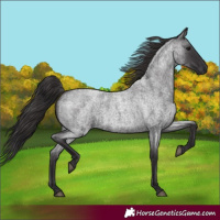 Horse Color:Smoky Blue Roan 