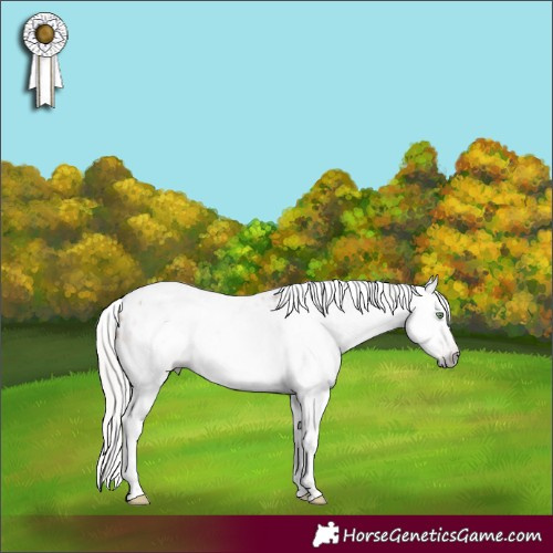 Horse Color:Gray White Spotted Silver Amber Champagne Splash Frame Leopard Rabicano 