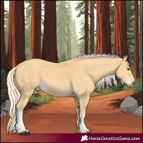 Horse Color:Palomino 