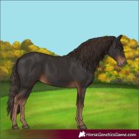 Horse Color:White Spotted Liver Chestnut 