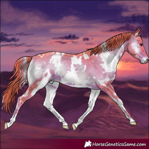 Horse Color:Watercolor White Spotted Liver Red Onyx 