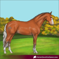 Horse Color:Silver Bay