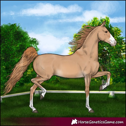 Horse Color:Red Dun 
