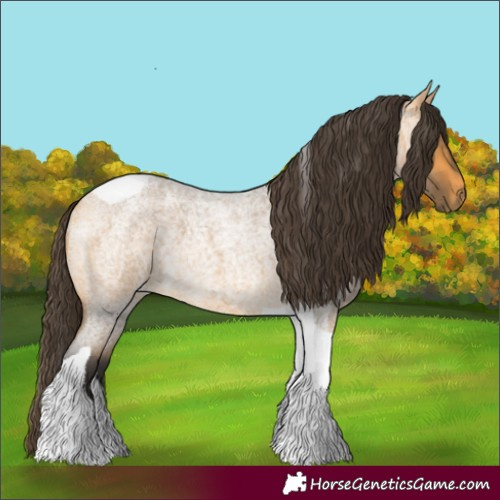 Horse Color:Buckskin Roan Tobiano 