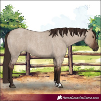 Horse Color:Liver Red Dun Roan 