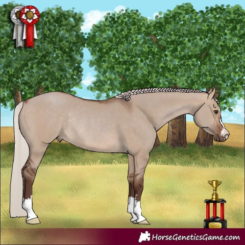 Horse Color:Silver Brown Dun Rabicano 
