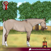 Horse Color:Silver Brown Dun Rabicano