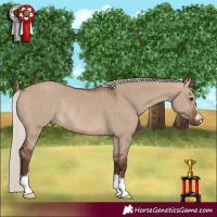 Horse Color:Silver Brown Dun Rabicano 
