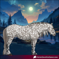 Horse Color:Grullo Appaloosa Brindle 
