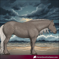 Horse Color:Silver Smoky Black 
