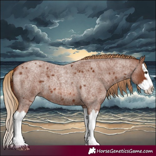 Horse Color:Red Roan Splash 