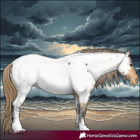 Horse Color:Buckskin Tobiano Near Fewspot 