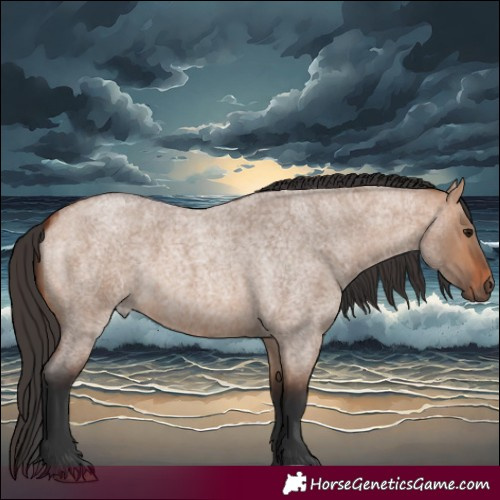 Horse Color:Bay Roan Dun 