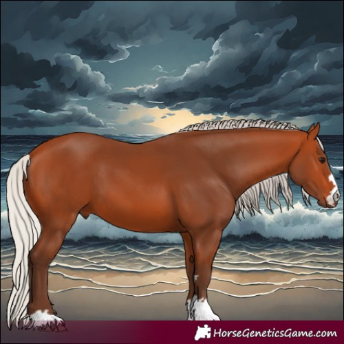 Horse Color:Silver Bay 