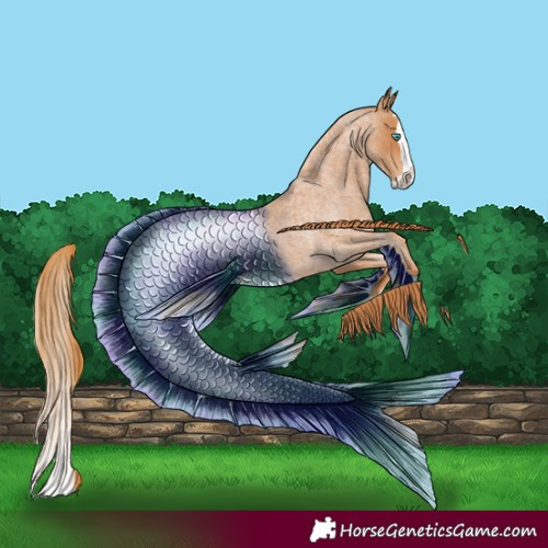 Horse Color:Red Roan Splash 