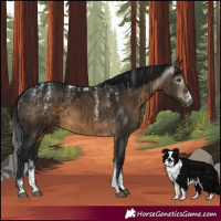 Horse Color:Powder White Gray Brown Dun Brindle 