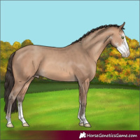 Horse Color:Amber Champagne Sabino 