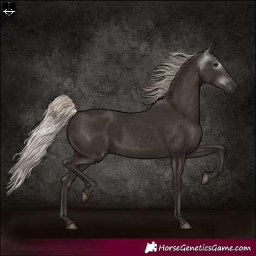 Horse Color:Gray Silver Black 