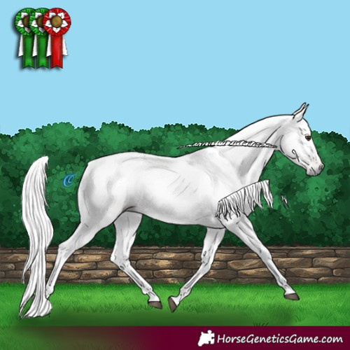 Horse Color:Gray Silver Bay Dun 