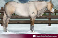 Horse Color:Chocolate Palomino Dun Rabicano Brindle