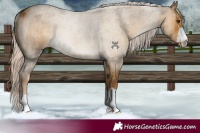 Horse Color:Chocolate Palomino Dun Rabicano Brindle