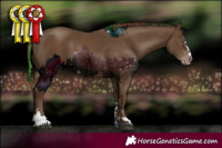 Horse Color:ERROR: UNKNOWN ANOMALY and Gray Classic Champagne 