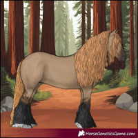 Horse Color:Gray Liver Red Dun 