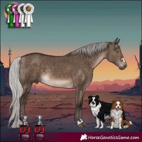 Horse Color:Silver Brown Dun Brindle 