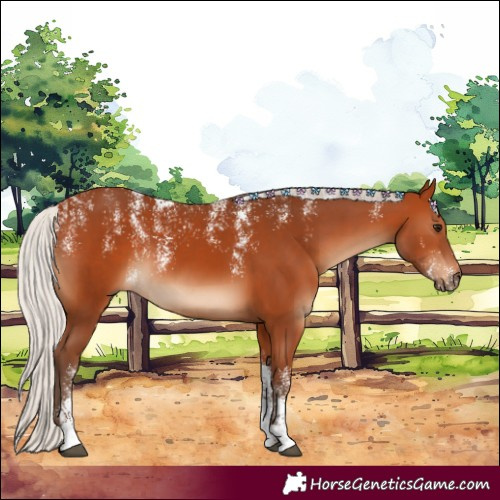 Horse Color:Powder White Silver Bay 