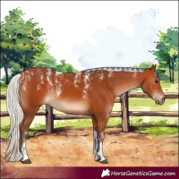 Horse Color:Powder White Silver Bay