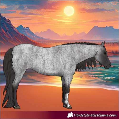 Horse Color:Smoky Blue Roan  and Smoky Blue Roan 