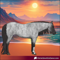 Horse Color:Smoky Blue Roan and Smoky Blue Roan