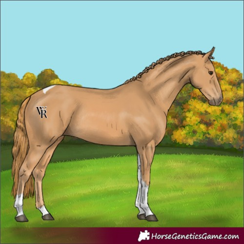 Horse Color:Chestnut Tobiano Rabicano